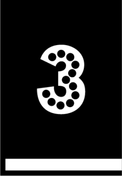 derde boek: BE NY Family